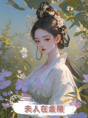 夫人在金陵